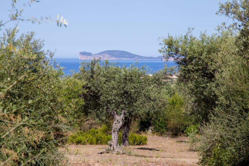 Villa Tramonto Alghero Buitenkant foto